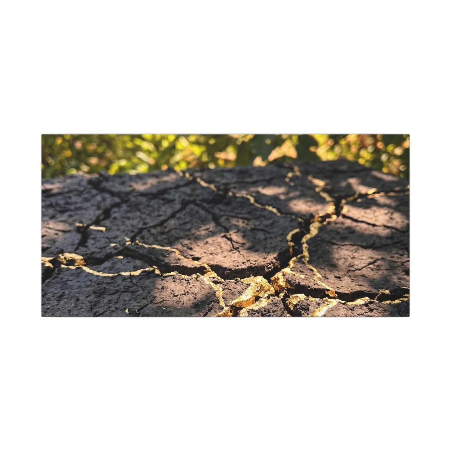 Shibui Cracked Earth Canvas Art - Kintsugi Gold Repair