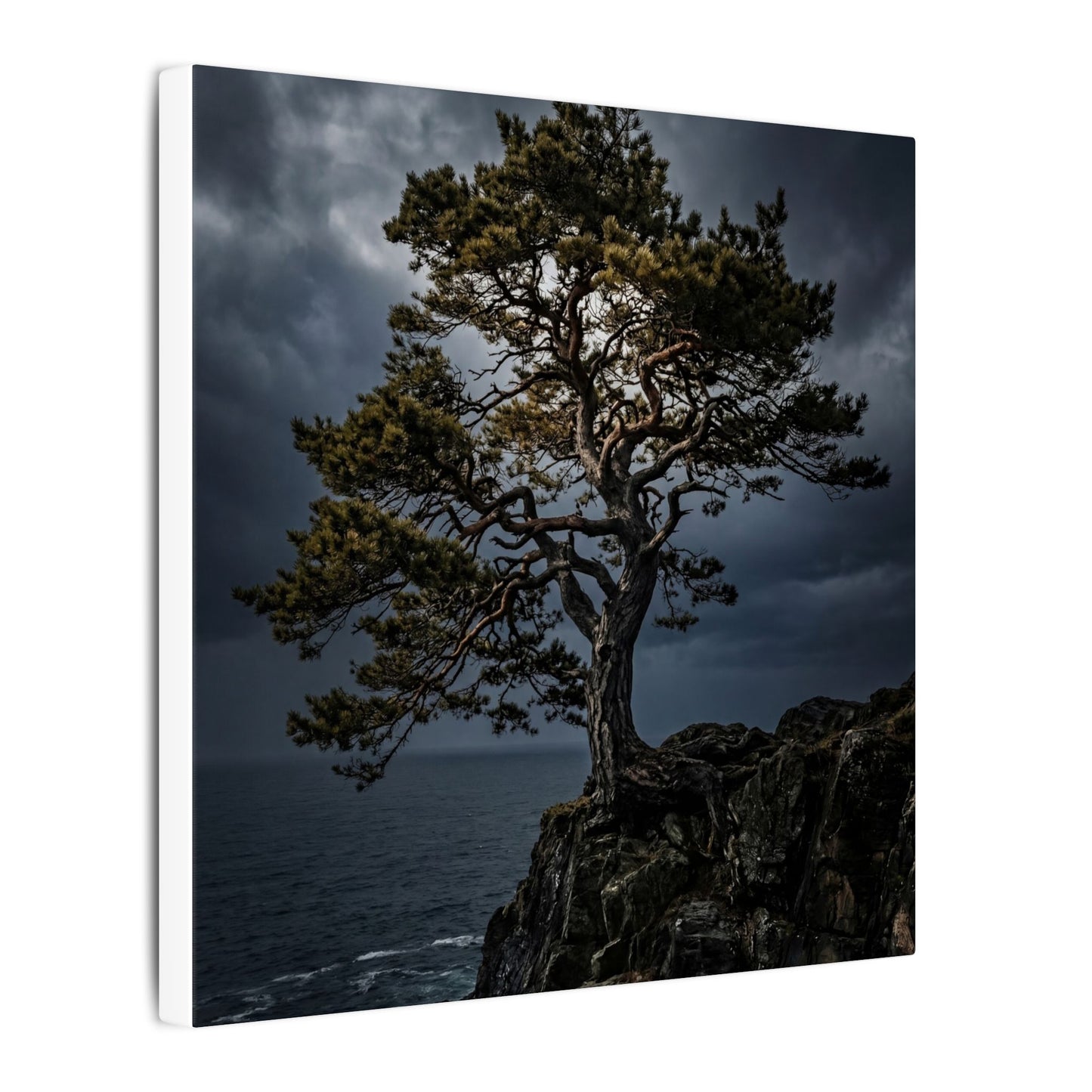 Dappled Pine Tree Canvas Art - Dark Japandi Fukinsei