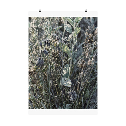 Dried Flowers Winter Wall Art Print | Japandi Neutral Design Art Print