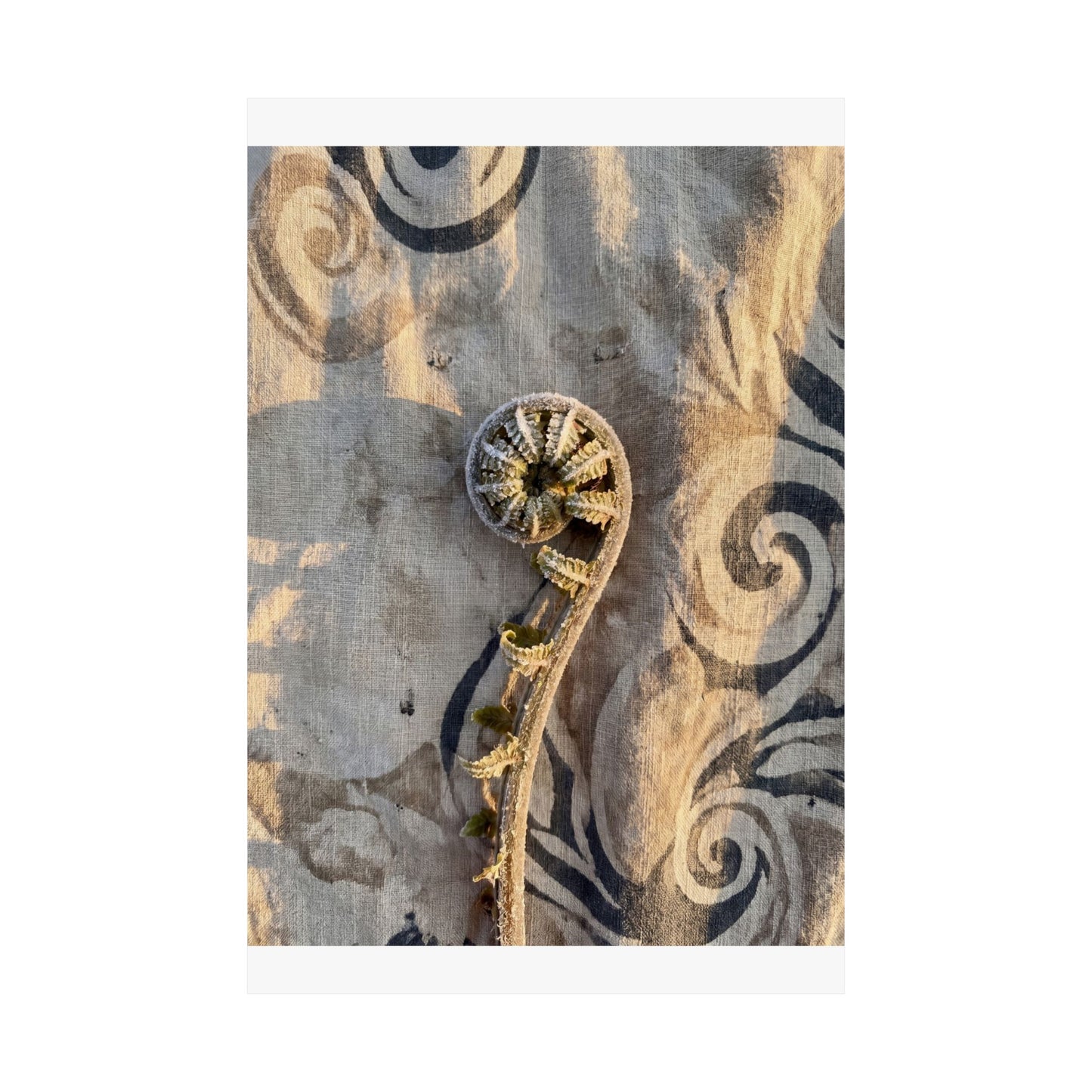 Fern Unfurling Winter Wall Art Print | Japandi Warm Design