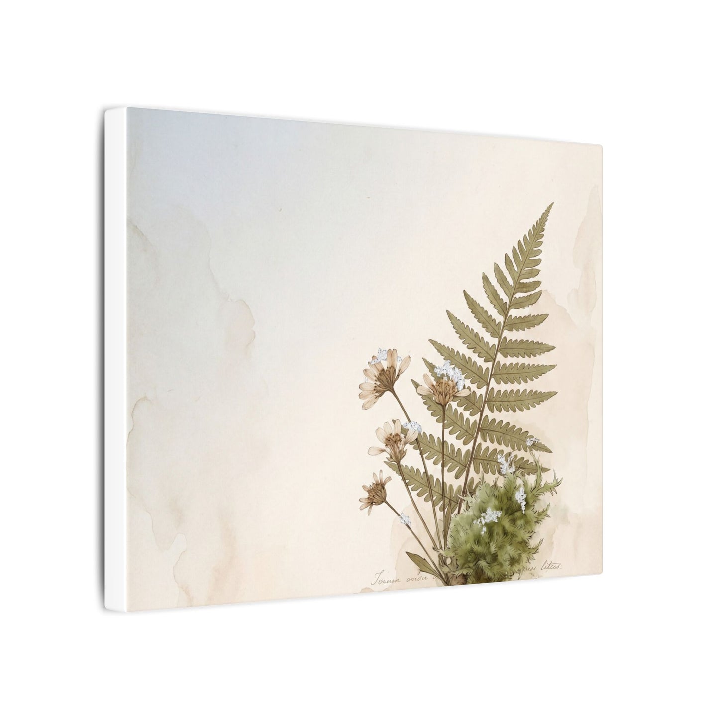 Winter Moss Close Up Herbarium Canvas Art | Enchanting Decor