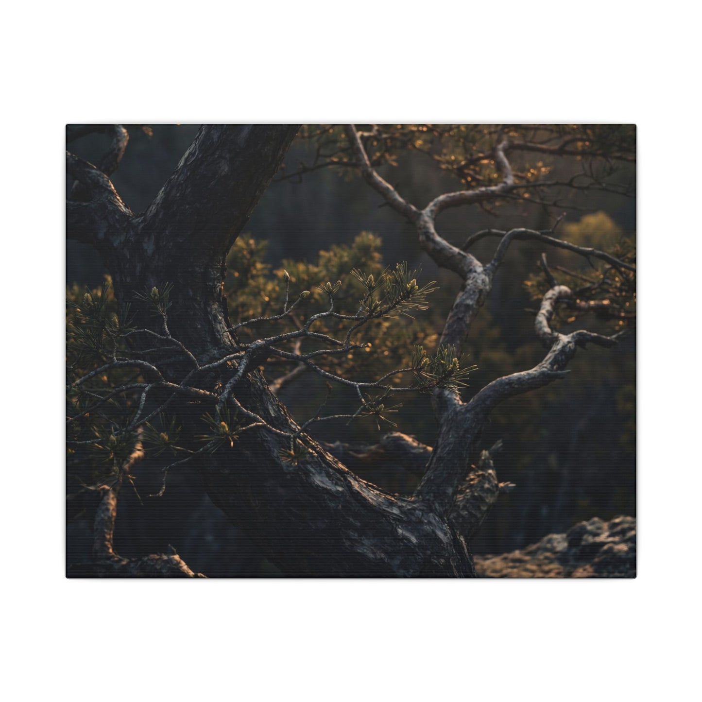 Moody Pine Tree Canvas Art - Moody Minimal Dark Japandi