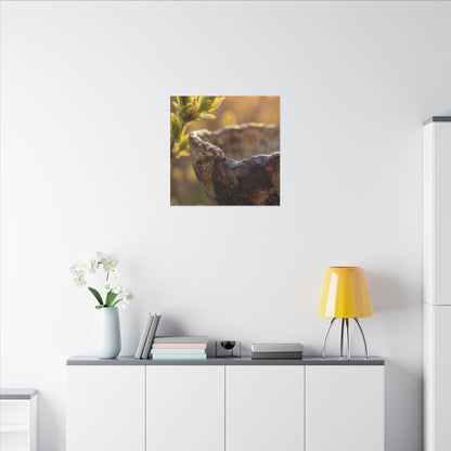 Golden Hour Ceramic Bowl Canvas Art - Dark Japandi Ma