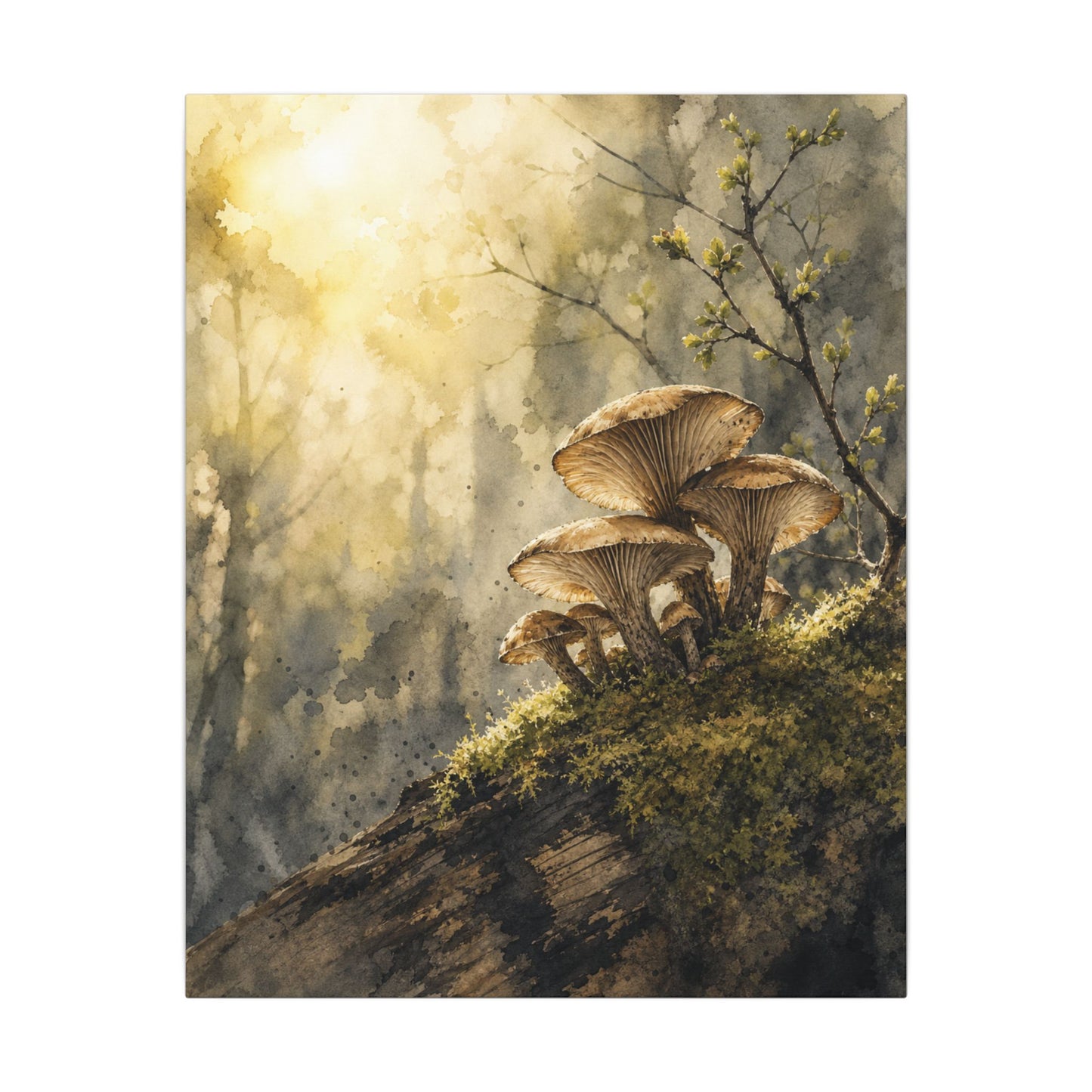 Wild Mushrooms Canvas Art | Spring Japandi Watercolor Art