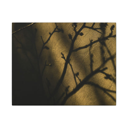 Golden Hour Shadow Play Canvas Art - Dark Japandi Seijaku