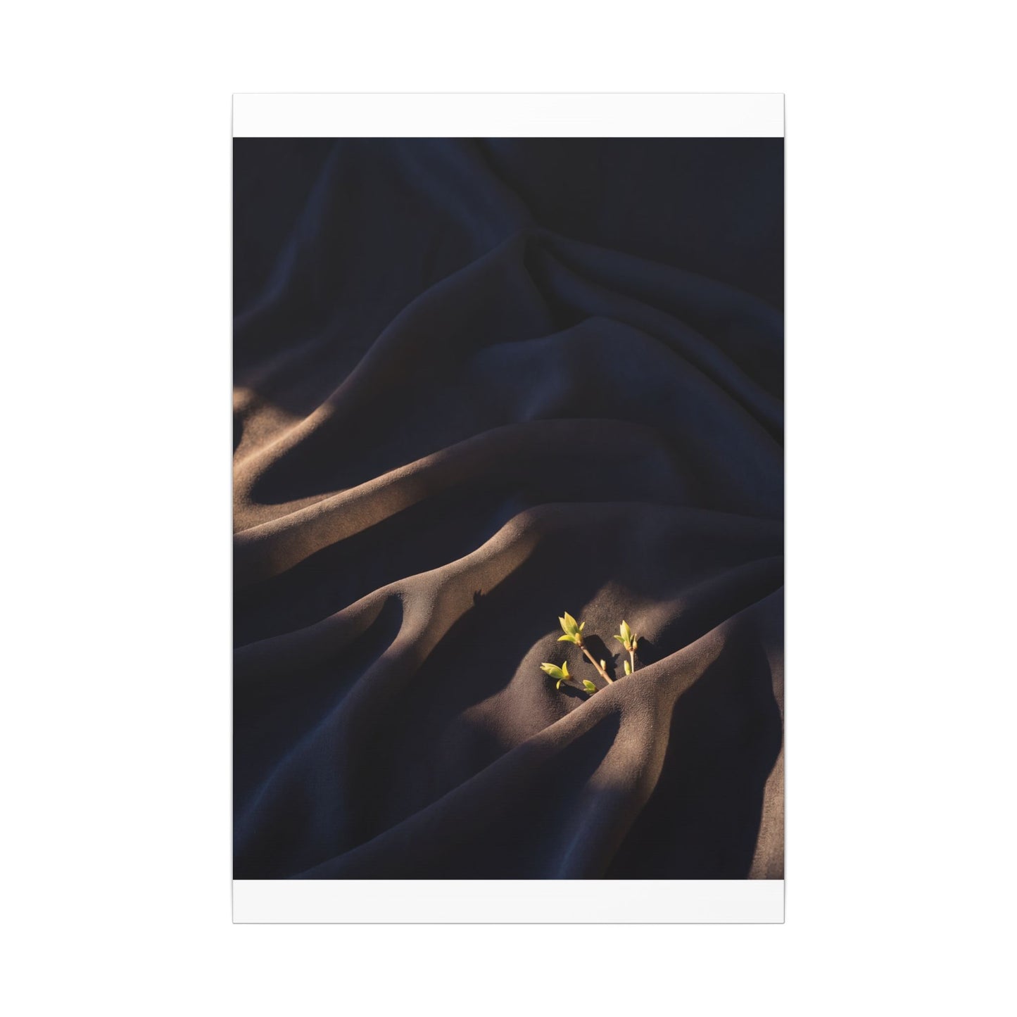 Silk Drape Shadow Zen Canvas Art | Luxurious Dark Japandi Art