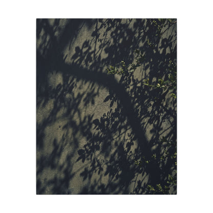 Atmospheric Shadow Play Canvas Art - Moody Minimal Dark Japandi