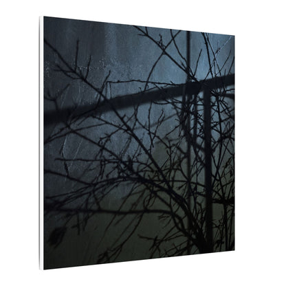Moonlight Shadow Play Canvas Art - Dark Japandi Shibui