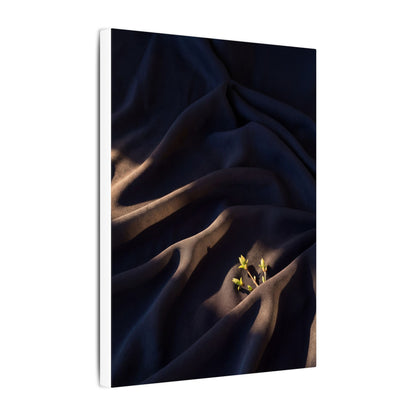 Silk Drape Shadow Zen Canvas Art | Luxurious Dark Japandi Art