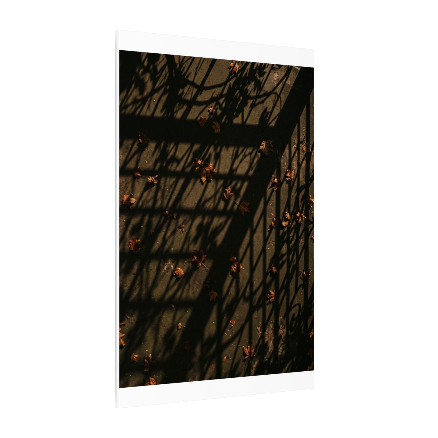 Shadow Play Canvas Art | Autumn Dark Japandi Moody Minimal Art