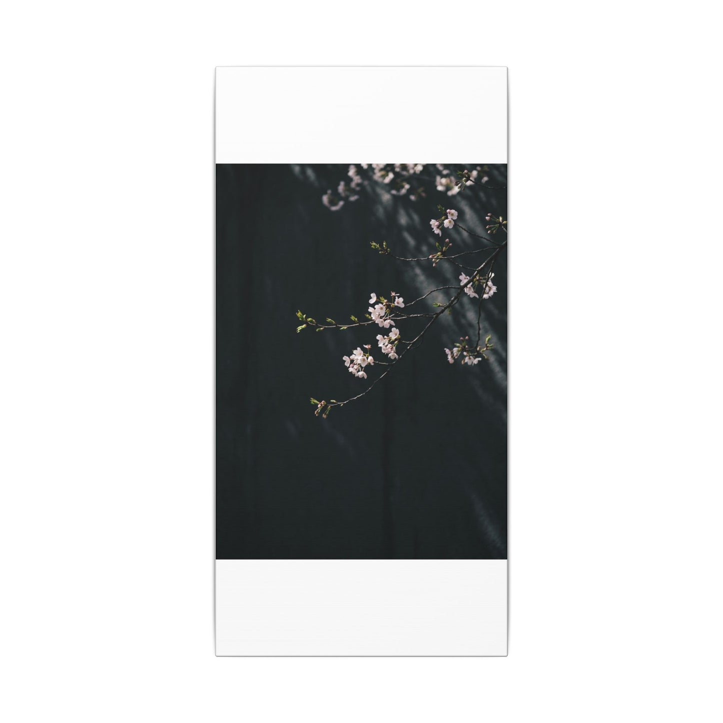 Cherry Blossom Spring Canvas Art | Dark Japandi Sophisticated Design