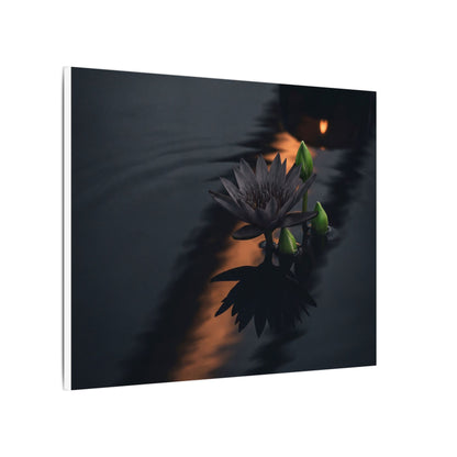 Seijaku Lotus Flower Canvas Art - Dark Japandi Shadow Zen