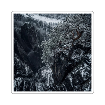Dappled Pine Tree Sticker - Dark Japandi Seijaku Art Print
