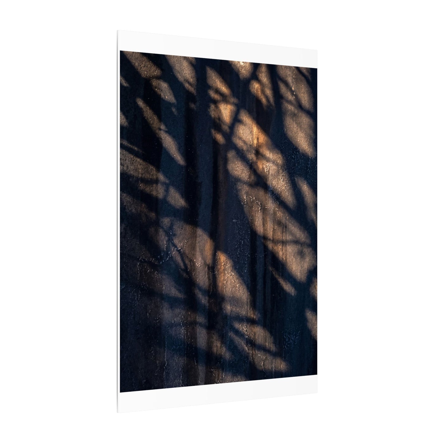Dark Japandi Shadow Play in Golden Hour | Shadow Zen Canvas Art