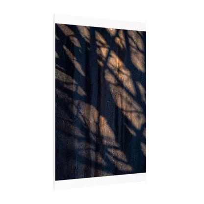 Dark Japandi Shadow Play in Golden Hour | Shadow Zen Canvas Art