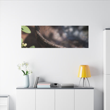 Ceramic Bowl Shadow Zen Canvas Art | Moody Dark Japandi Art