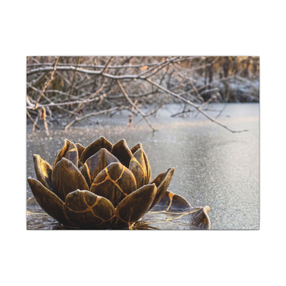Lotus Flower Gold Repair Canvas Art | Beautiful Kintsugi Art Art Print