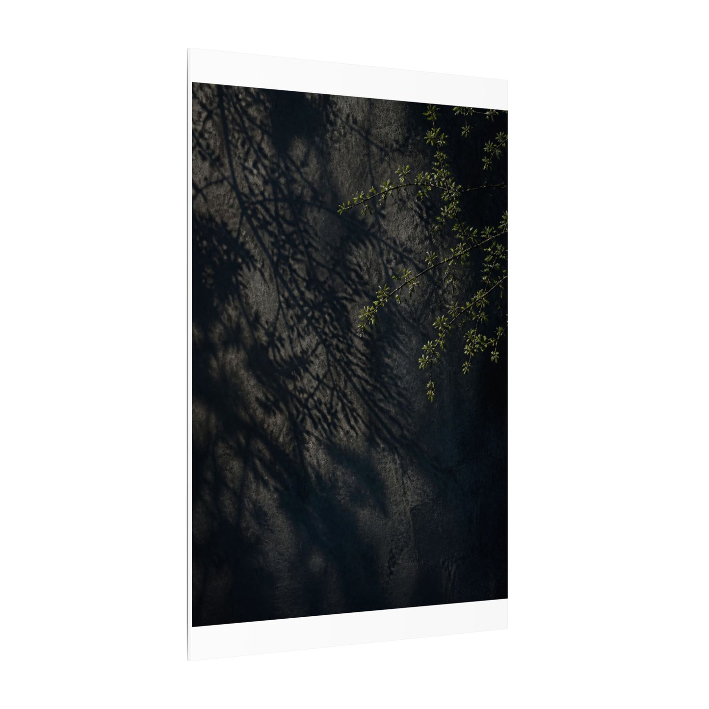 Overcast Shadow Play Canvas Art - Dark Japandi Seijaku