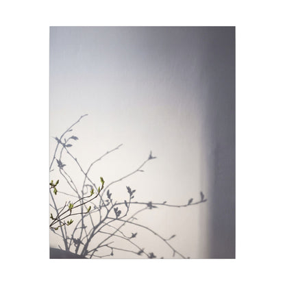 Japandi Shadow Play in Dawn | Japanese Pattern Canvas Art