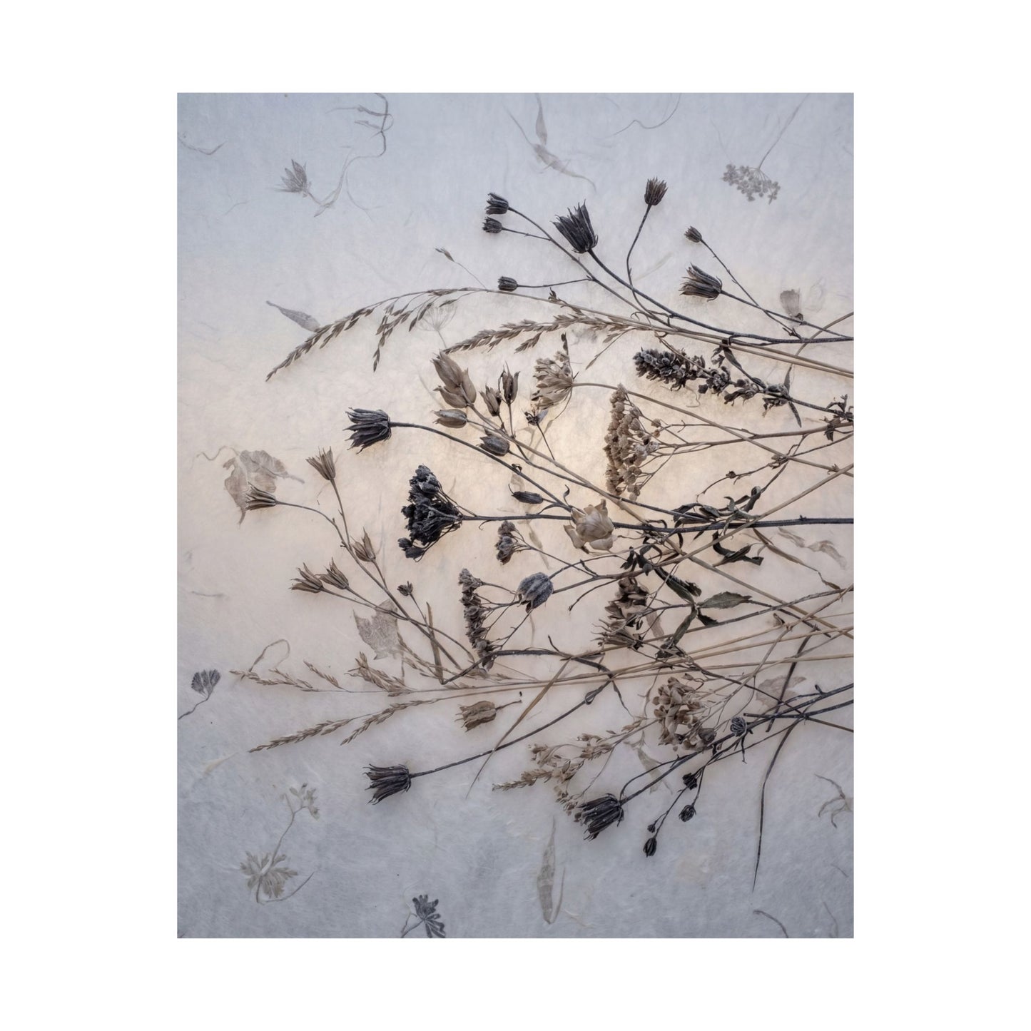 Winter Dried Flowers Japanese Pattern Wall Art Print | Warm Decor
