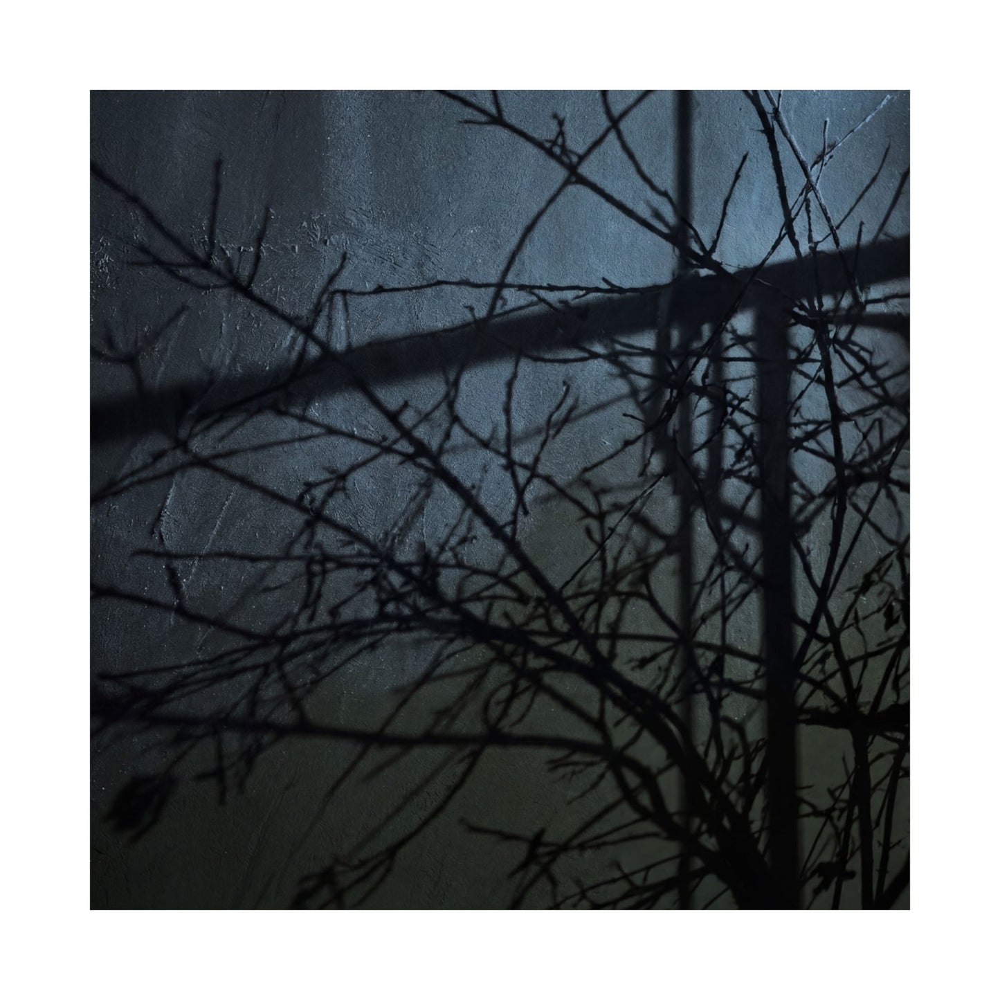 Shadow Play Winter Wall Art Print | Dark Japandi Luxurious Design