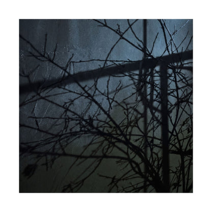 Shadow Play Winter Wall Art Print | Dark Japandi Luxurious Design