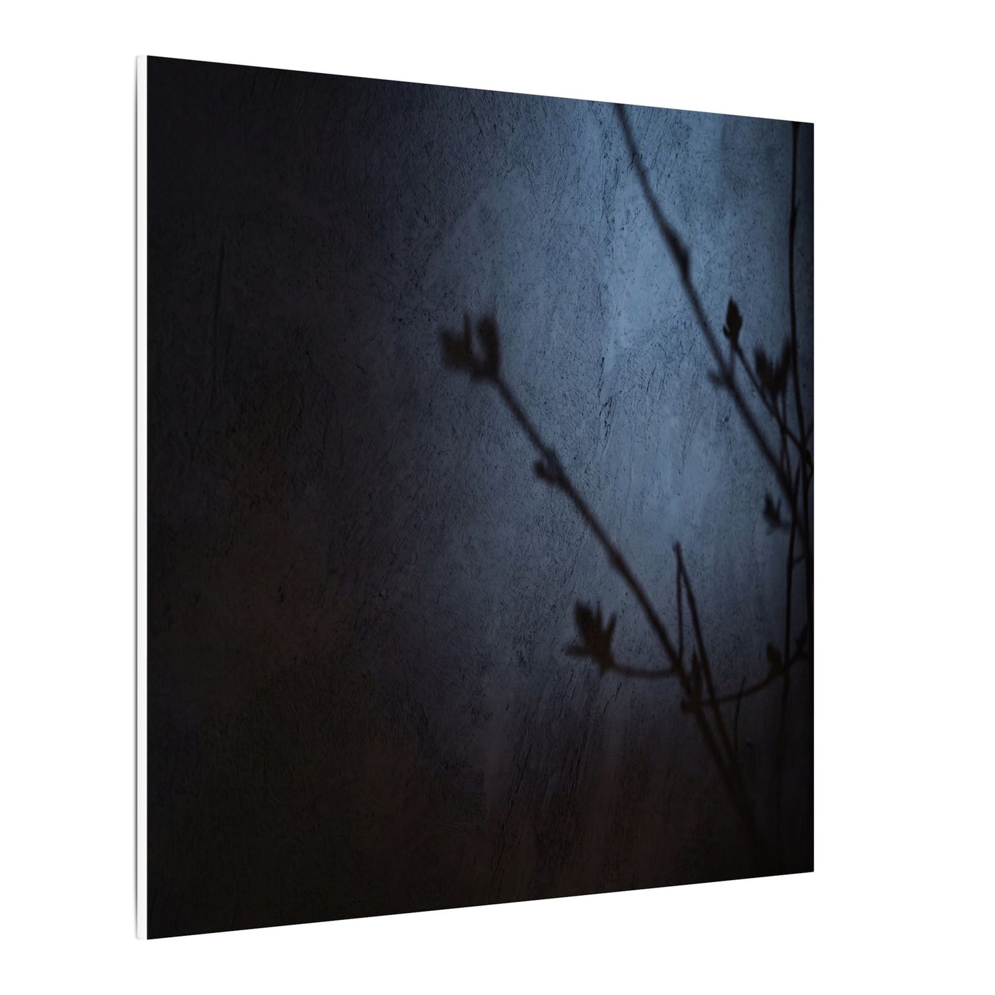 Shadow Play Canvas Art | Spring Dark Japandi Moody Minimal Art