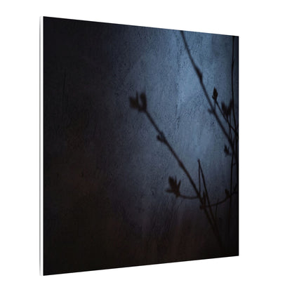 Shadow Play Canvas Art | Spring Dark Japandi Moody Minimal Art