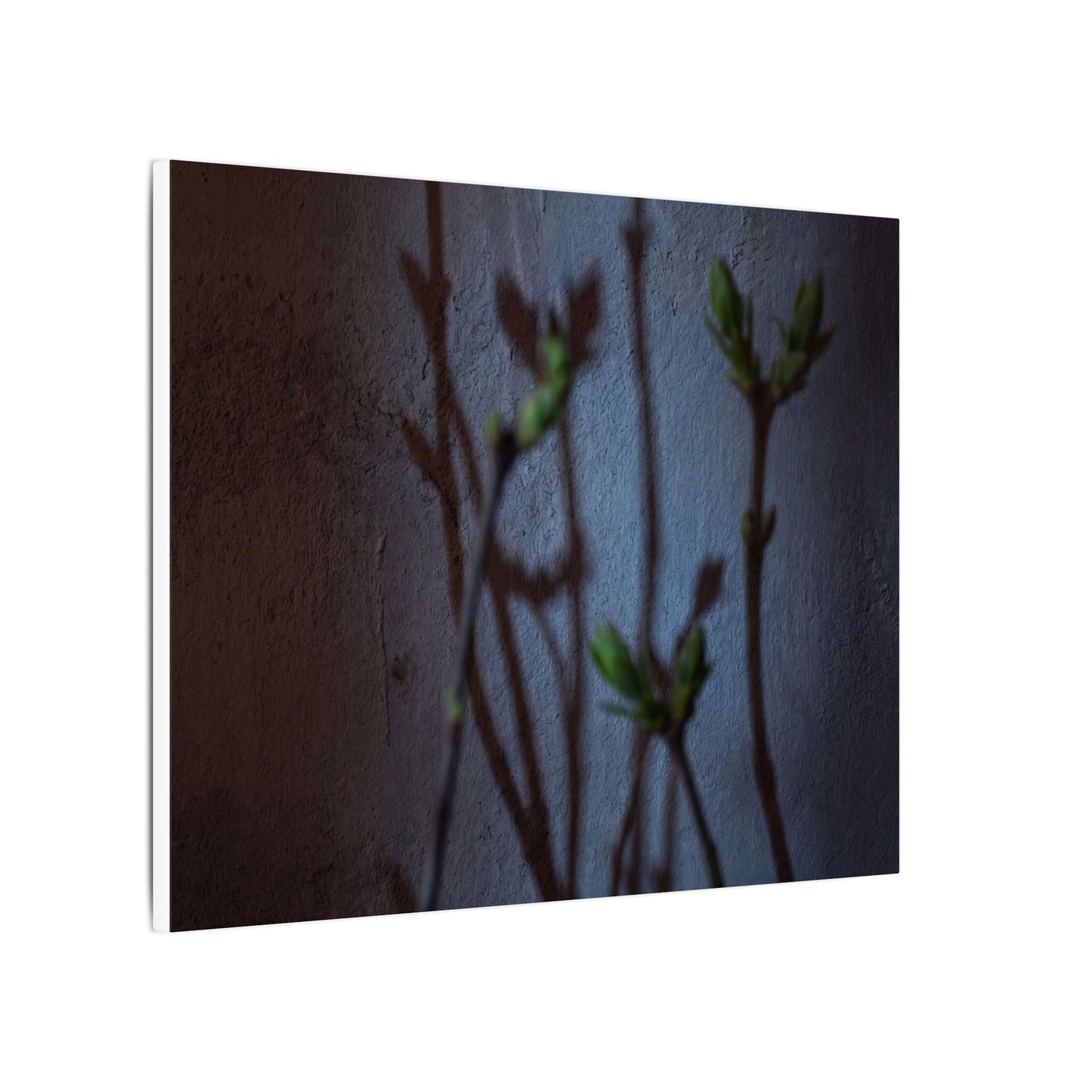 Shadow Play Spring Canvas Art | Dark Japandi Sophisticated Design