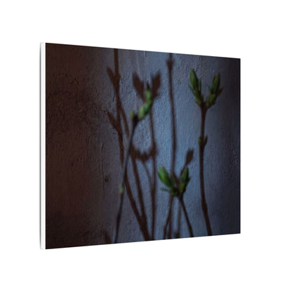 Shadow Play Spring Canvas Art | Dark Japandi Sophisticated Design
