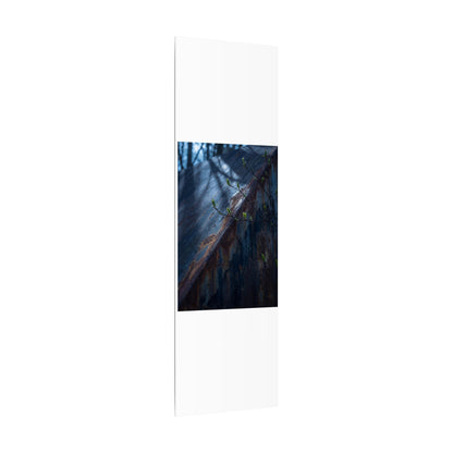 Rust Patina Canvas Art | Spring Dark Japandi Shadow Zen Art