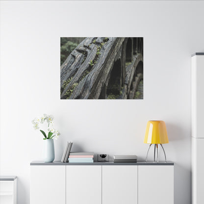 Overcast Wooden Bridge Canvas Art - Japandi Kanso