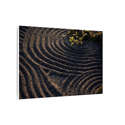 Spring Rock Garden Shadow Zen Canvas Art | Atmospheric Decor