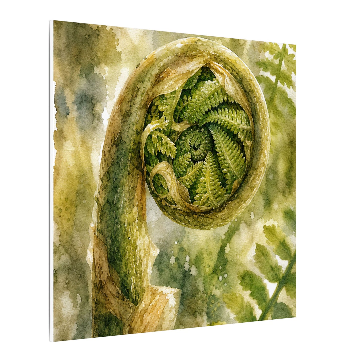 Japandi Fern Unfurling in Dappled | Watercolor Canvas Art