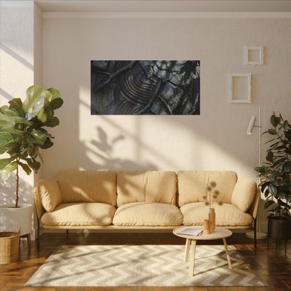 Rock Garden Canvas Art | Winter Dark Japandi Dark Texture Art