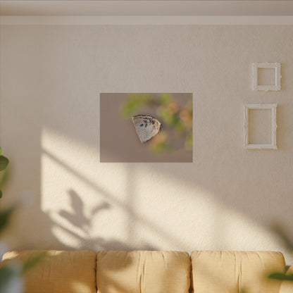 Ceramic Bowl Canvas Art | Spring Japandi Japanese Pattern Art