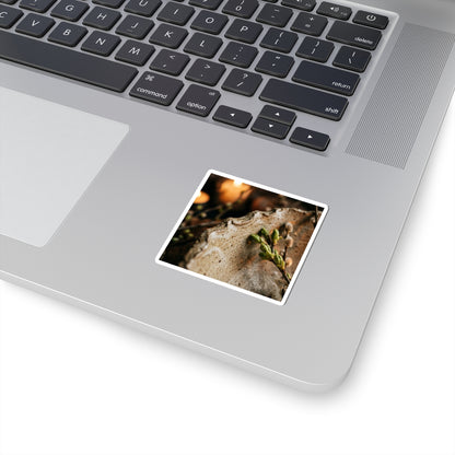 Neutral Ceramic Bowl Sticker - Minimal Line Japandi