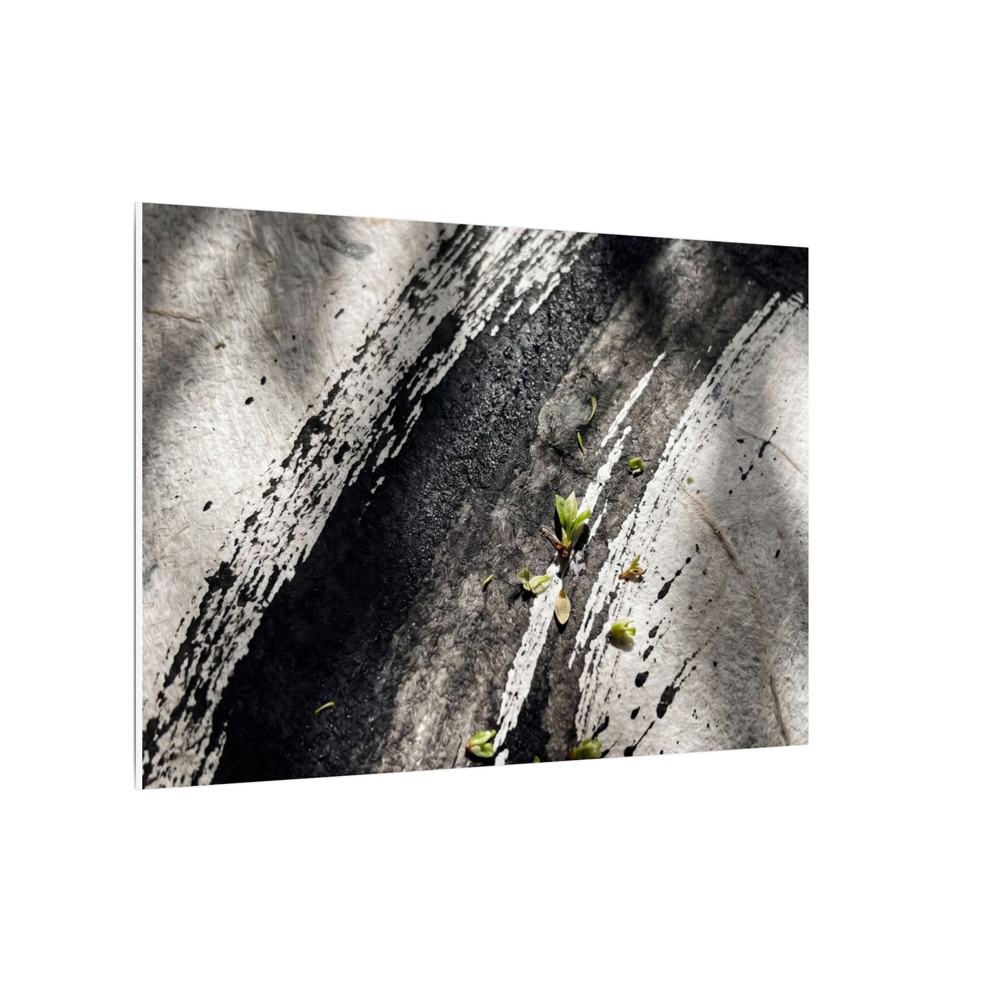 Ink Brushstroke Canvas Art | Spring Dark Japandi Moody Minimal Art