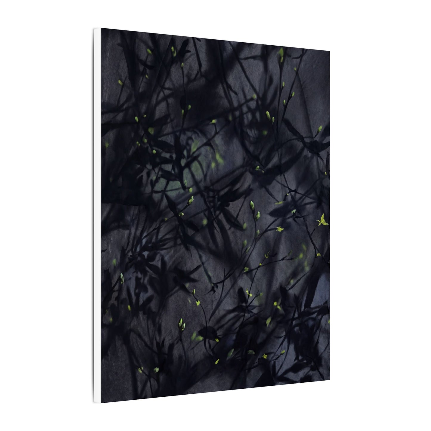 Shadow Play Spring Canvas Art | Dark Japandi Atmospheric Design