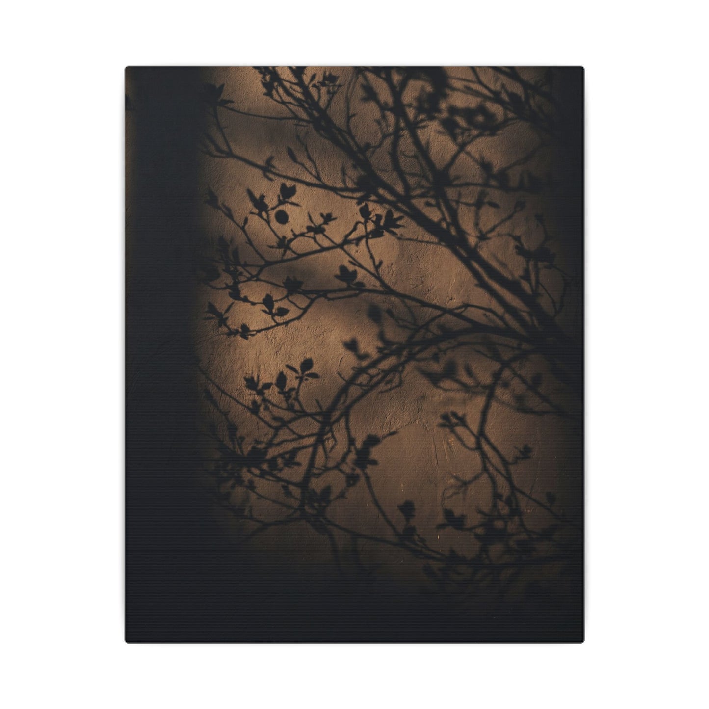 Dark Japandi Shadow Play in Golden Hour | Shadow Zen Canvas Art