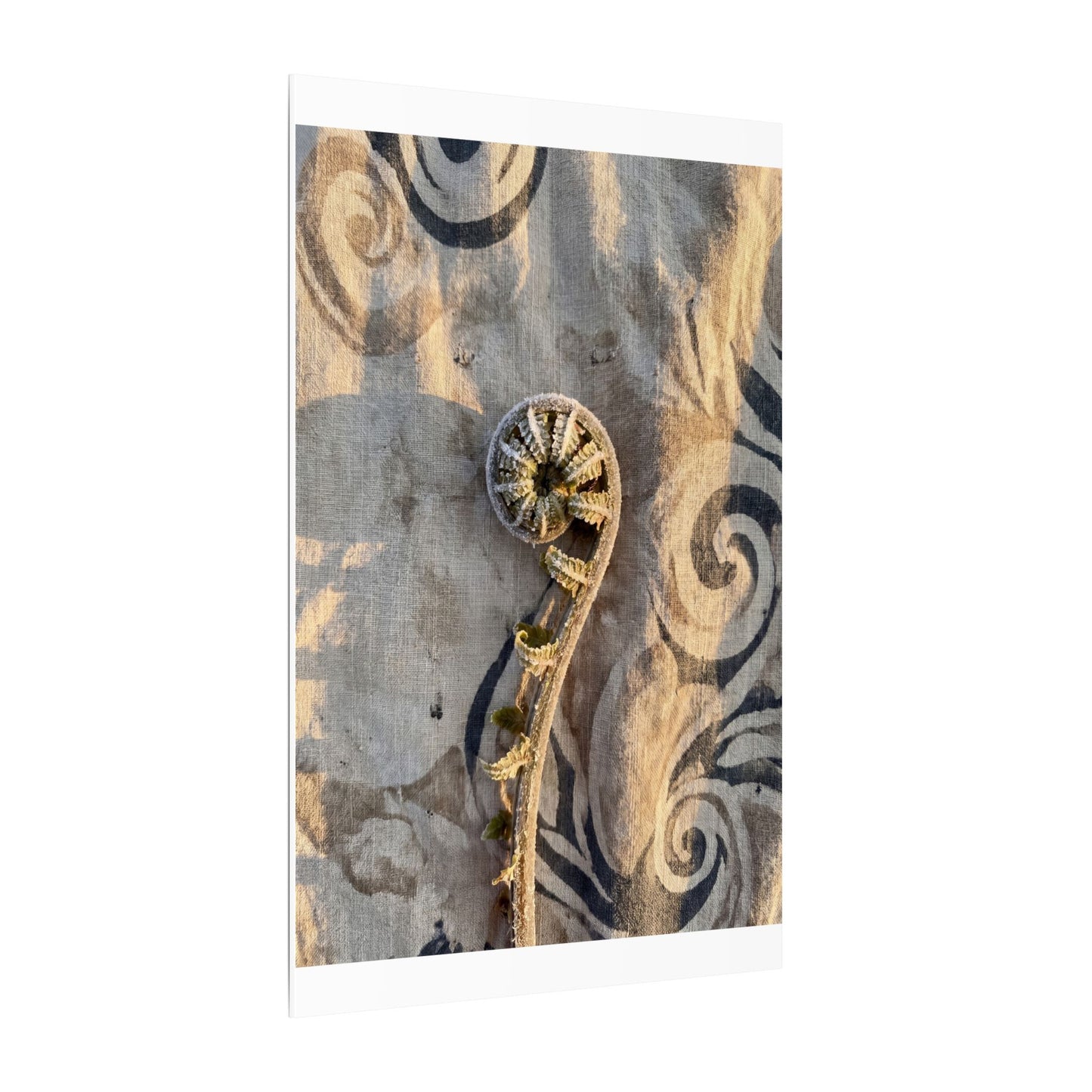 Fern Unfurling Canvas Art | Winter Japandi Japanese Pattern Art