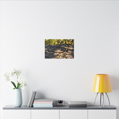 Shibui Cracked Earth Canvas Art - Kintsugi Gold Repair