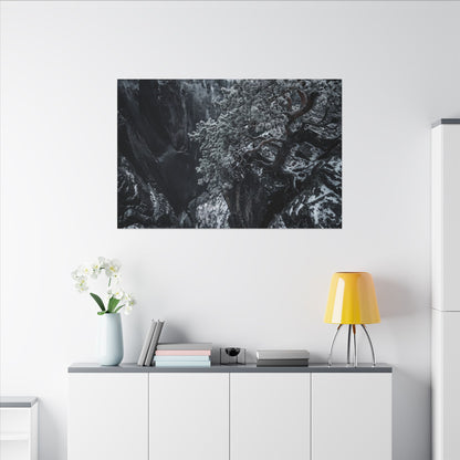 Dark Japandi Pine Tree in Dappled | Dark Texture Canvas Art