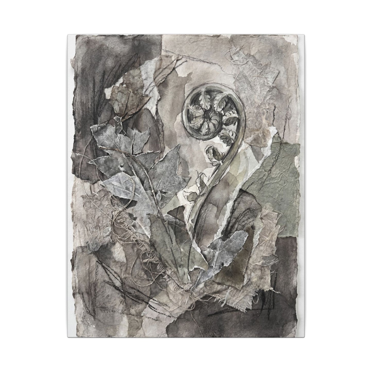 Japandi Fern Unfurling in Overcast | Texture Canvas Art