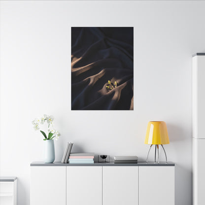 Silk Drape Shadow Zen Canvas Art | Luxurious Dark Japandi Art