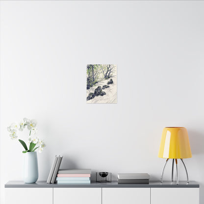 Dappled Rock Garden Canvas Art - Zen Mono No Aware