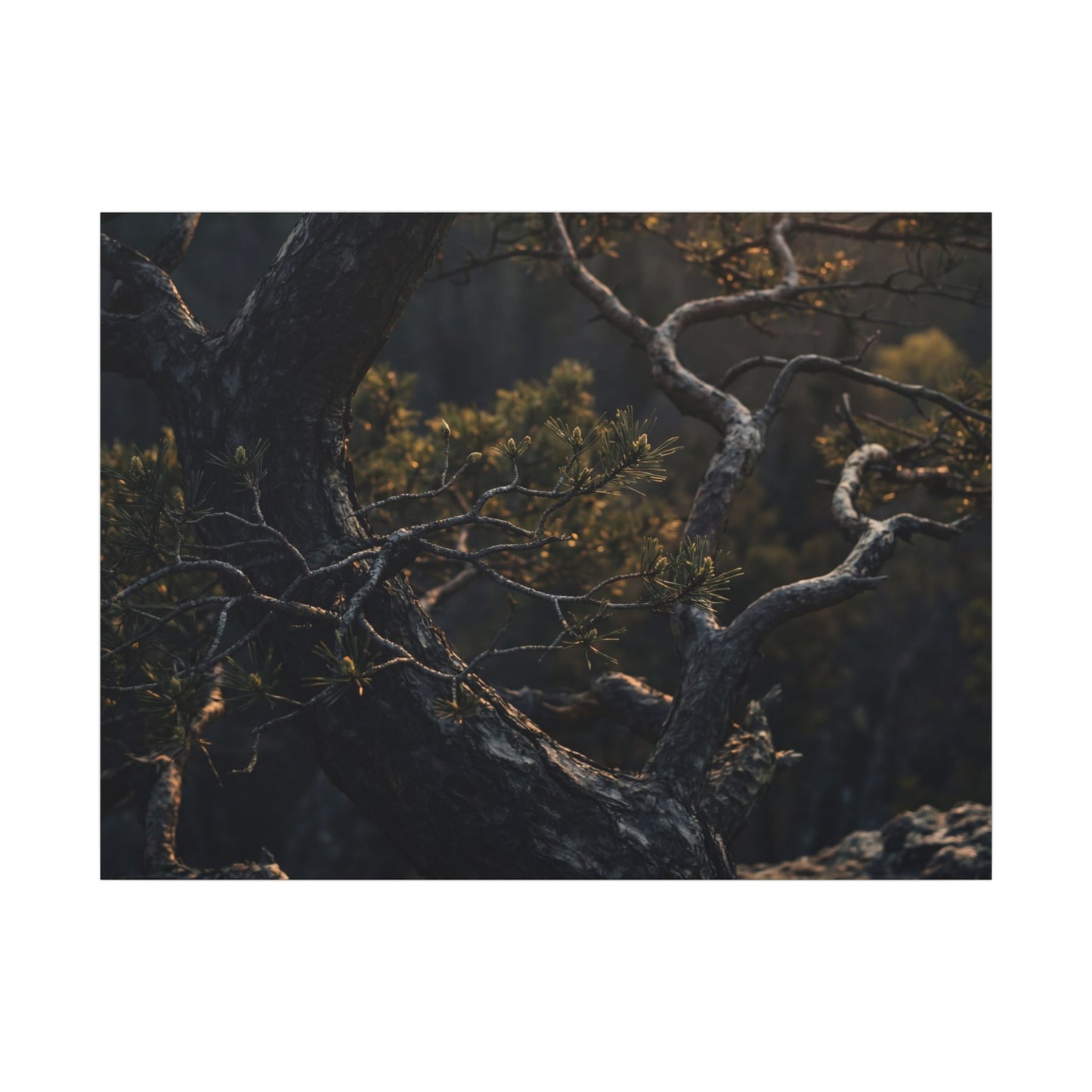 Moody Pine Tree Canvas Art - Moody Minimal Dark Japandi Art Print