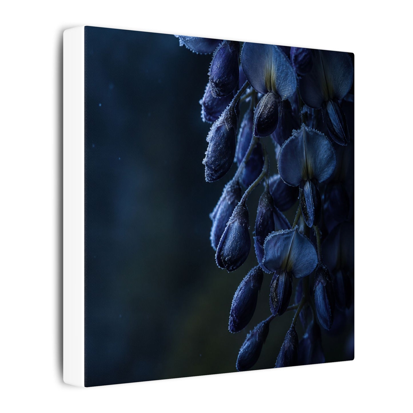 Winter Wisteria Shadow Zen Canvas Art | Atmospheric Decor