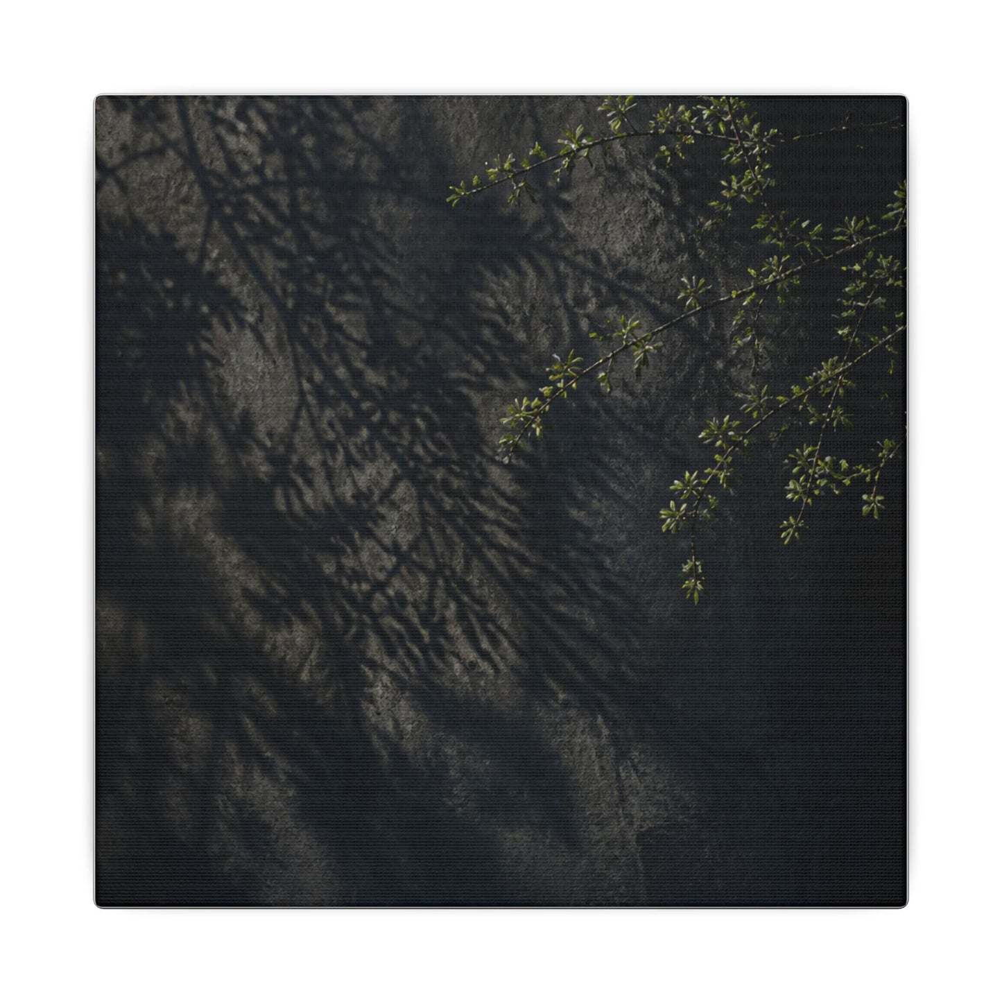 Overcast Shadow Play Canvas Art - Dark Japandi Seijaku