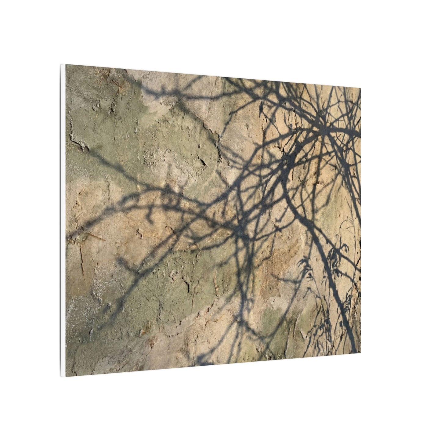 Japandi Shadow Play in Golden Hour | Texture Canvas Art